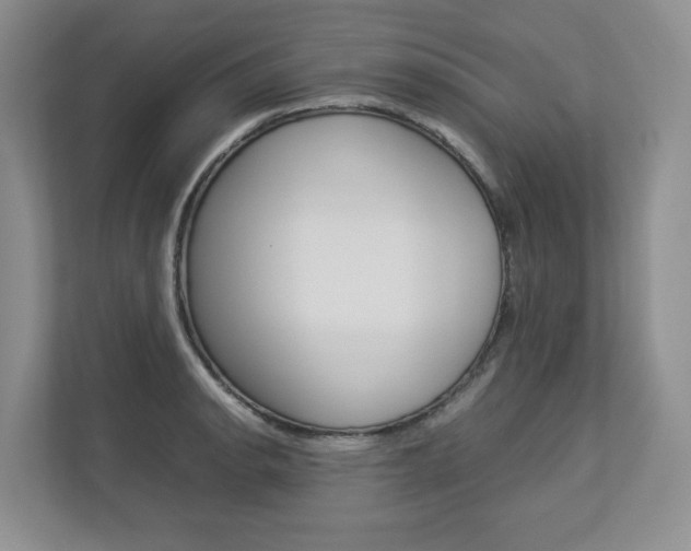 X0000112831134200908210933