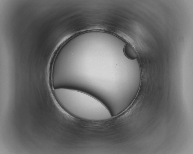 X0000112831135200908210933