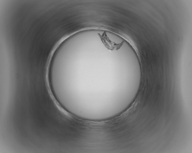 X0000112831136200908210933