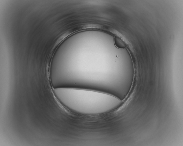 X0000112831137200908210933