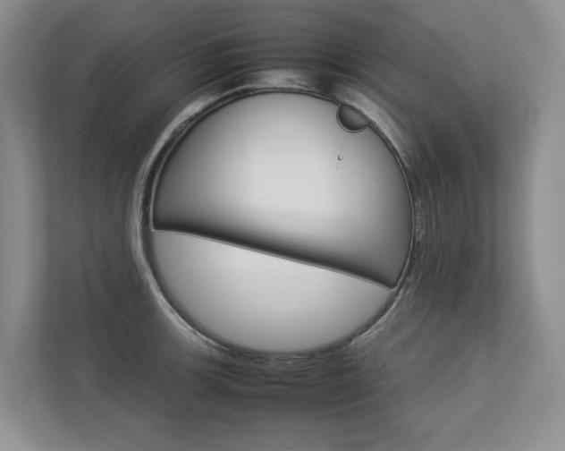 X0000112831139200908210933