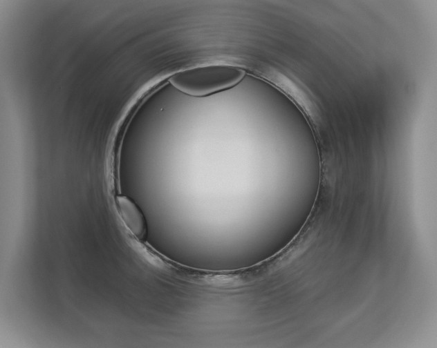 X0000112831140200908210933
