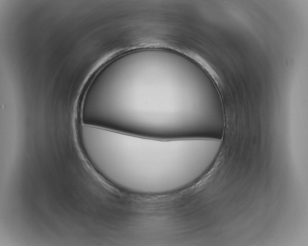 X0000112831142200908210933