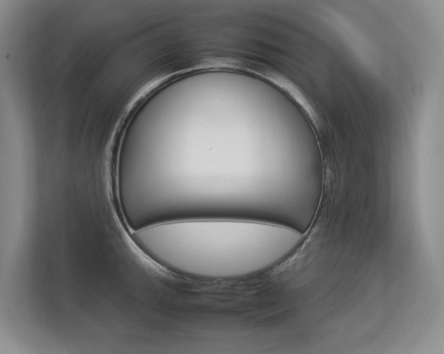 X0000112831143200908210933