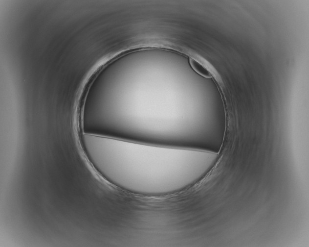 X0000112831144200908210933