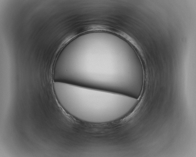 X0000112831145200908210933