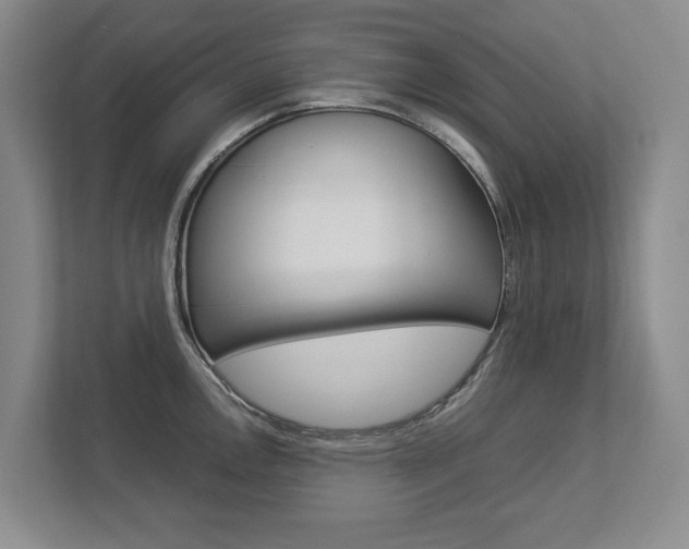 X0000112831146200908210933
