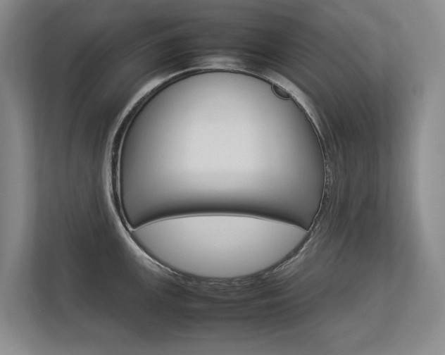 X0000112831147200908210933