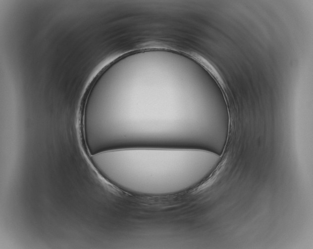 X0000112831149200908210933
