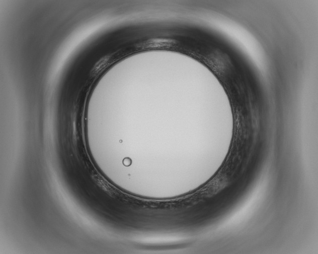 X0000112831150200908210933