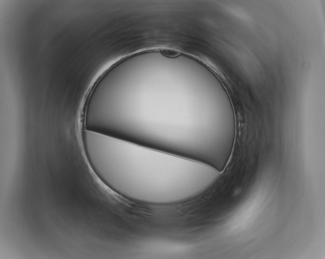 X0000112831151200908210933