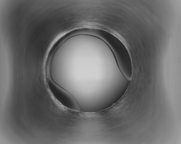 X0000112831152200908210934