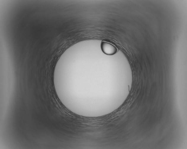 X0000112831153200908210933