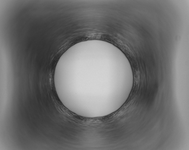 X0000112831154200908210933