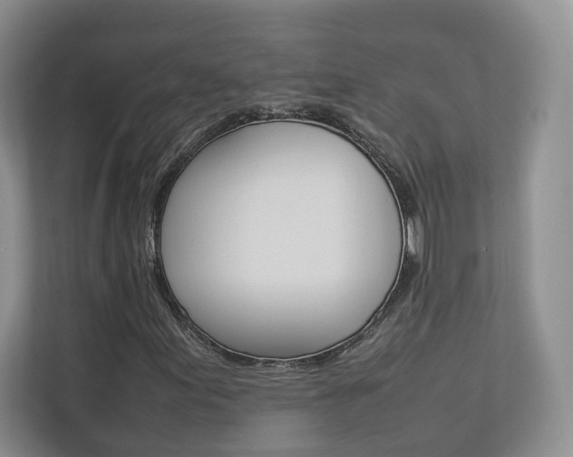 X0000112831155200908210933