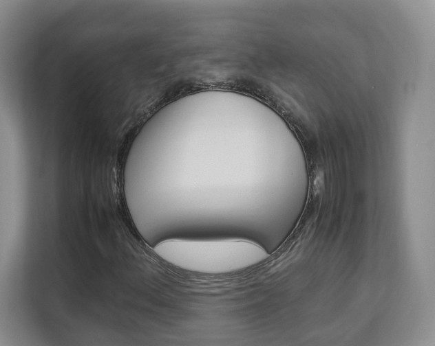 X0000112831156200908210933