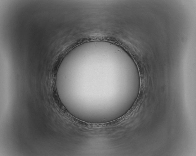 X0000112831157200908210933