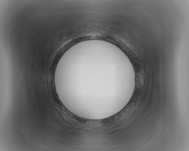 X0000112831158200908210933