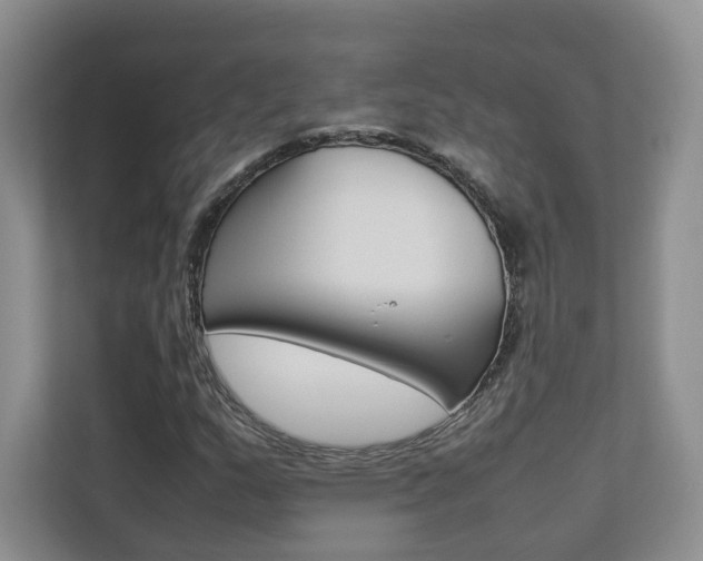 X0000112831159200908210933