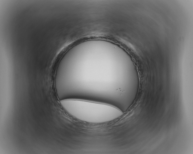X0000112831160200908210933