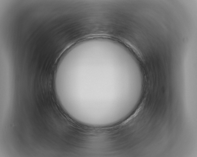 X0000112831162200908210933