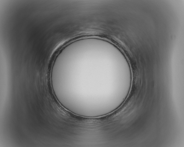X0000112831163200908210933
