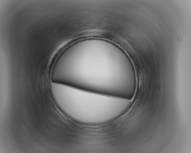 X0000112831164200908210933