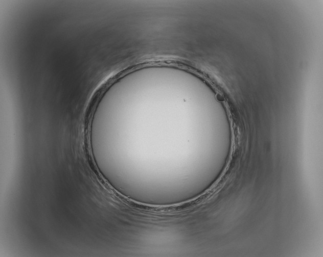 X0000112831165200908210933