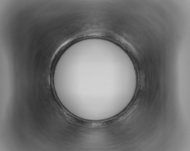 X0000112831166200908210933