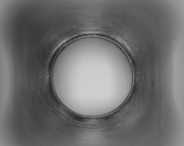 X0000112831167200908210933