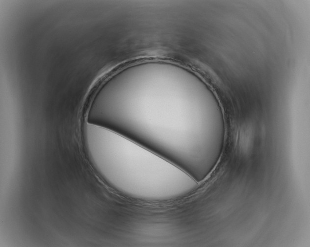 X0000112831168200908210933