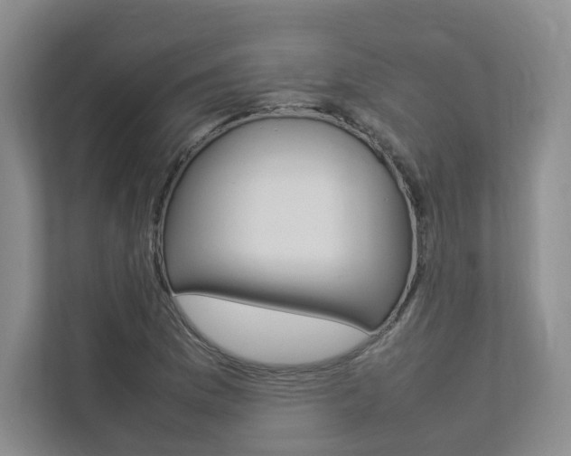 X0000112831169200908210933