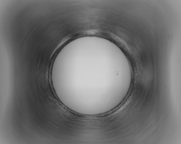 X0000112831170200908210933