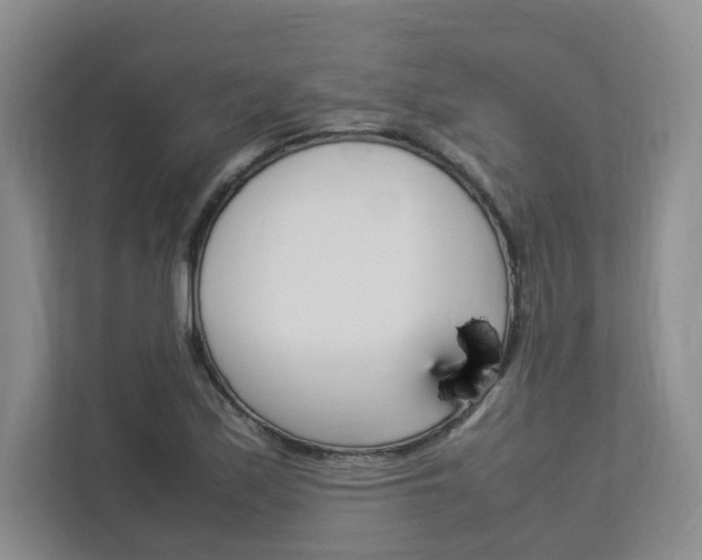 X0000112831171200908210933