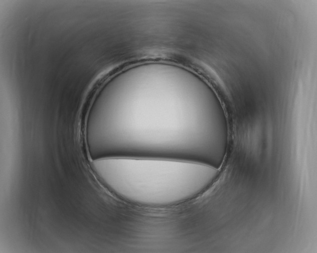 X0000112831172200908210933