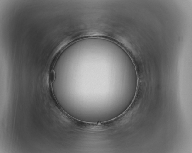 X0000112831173200908210933