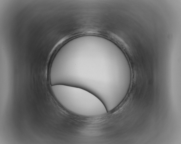 X0000112831174200908210933