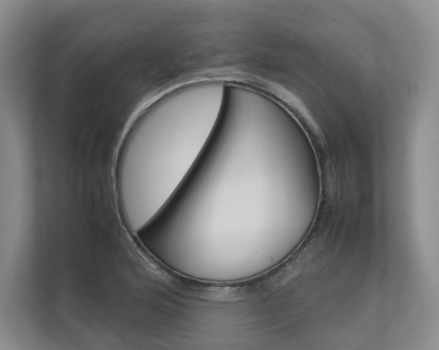 X0000112831176200908210933