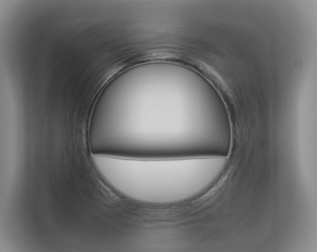 X0000112831177200908210933