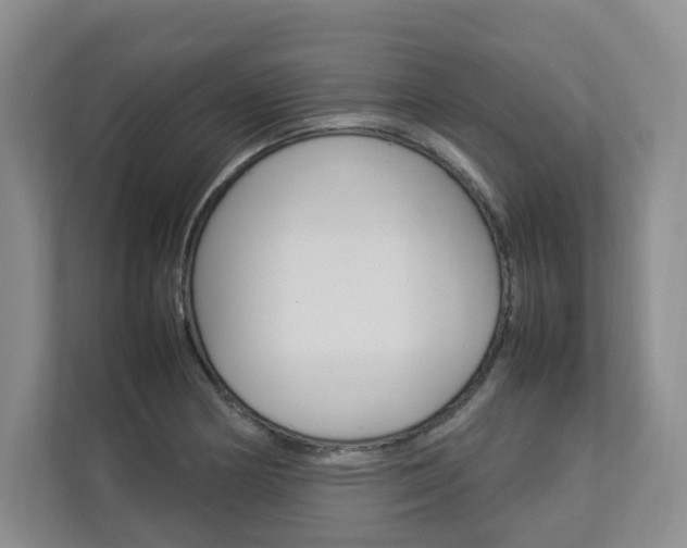 X0000112831178200908210933