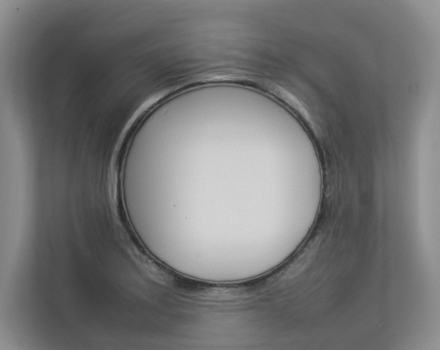 X0000112831179200908210933