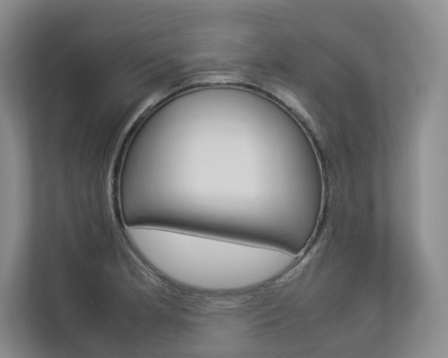 X0000112831181200908210933