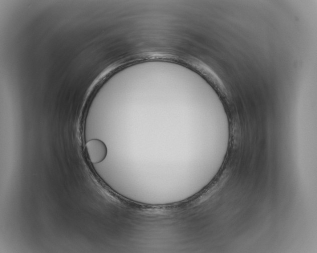 X0000112831182200908210933