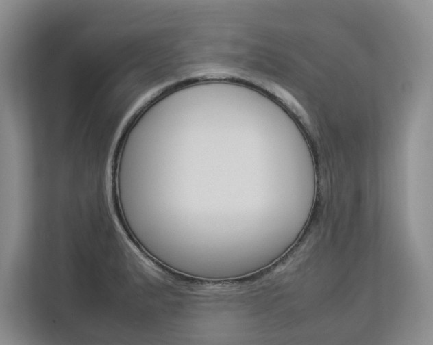 X0000112831183200908210932