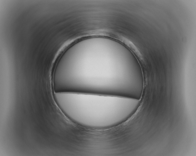 X0000112831184200908210932