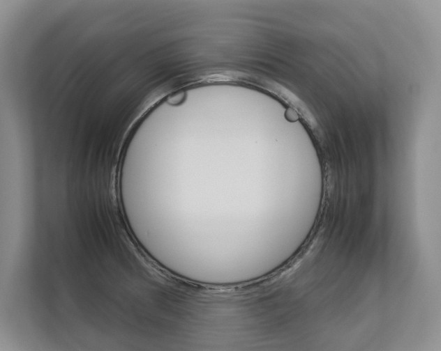 X0000112831186200908210932