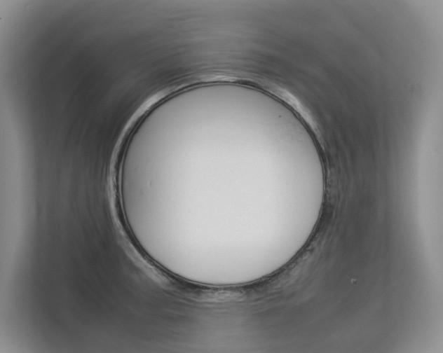 X0000112831187200908210932