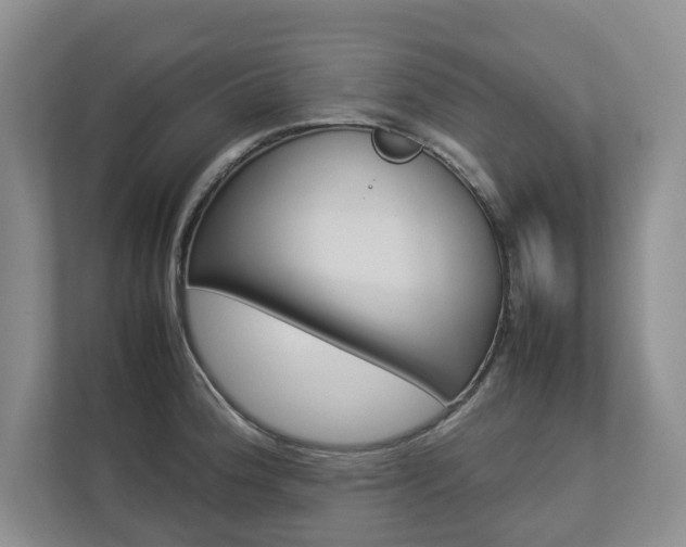 X0000112831188200908210932