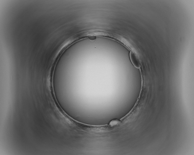 X0000112831189200908210932