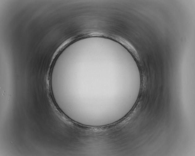 X0000112831190200908210932